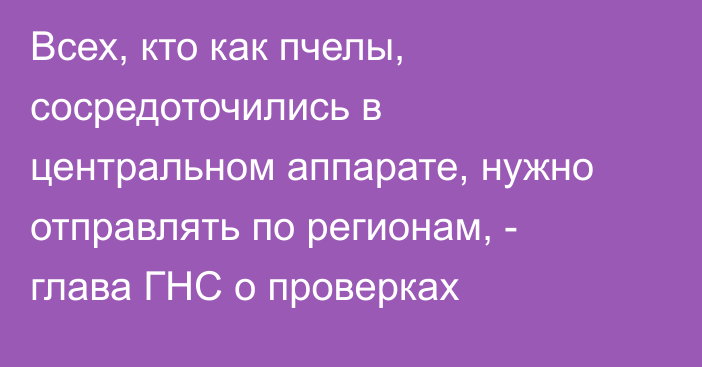 Всех, кто как пчелы, сосредоточились в центральном аппарате, нужно отправлять по регионам, - глава ГНС о проверках